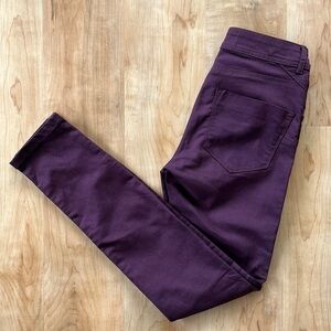 Brody Jeans Burgundy Skinny Ankle Jeans